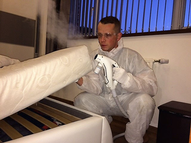 Ensuring a pest-free environment for you and your family